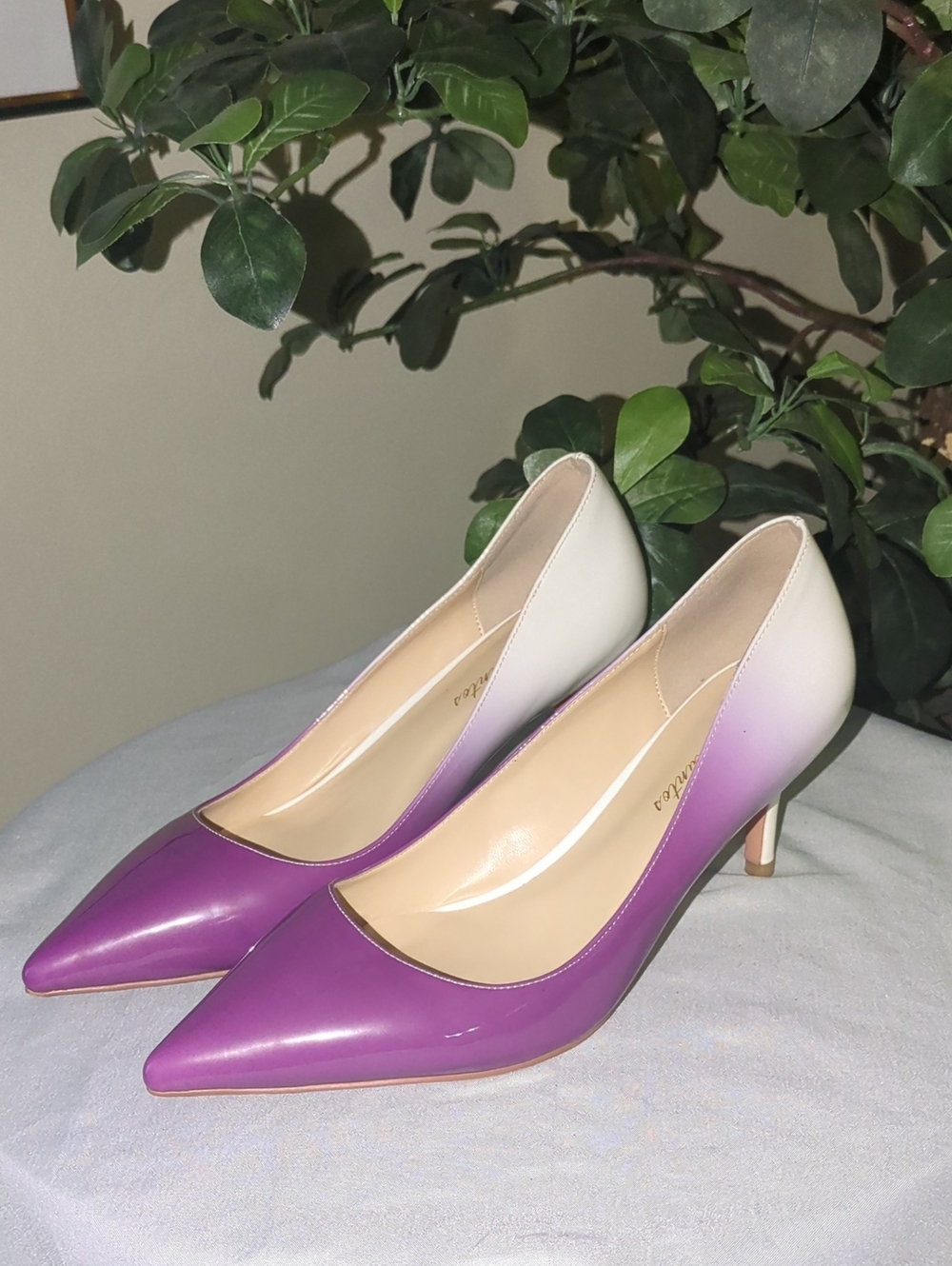 Amarantos White to Purple Ombre Pointed-Toe Women's Pumps